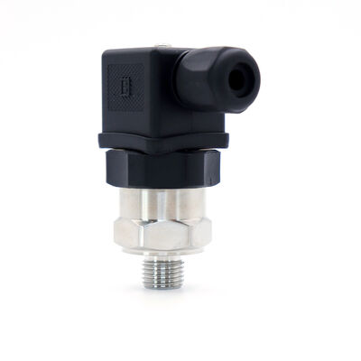 Sensor de Pressão de Silício Difundido 0-20 Bar 4-20mA ±0,5%FS Precisão 316L SS IP65